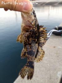 �����Υ���Х�