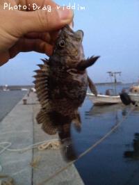 �����Υ���Х�