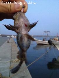 �����Υ���Х�