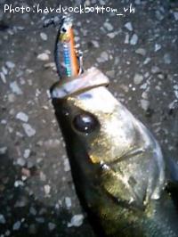 �����Х�