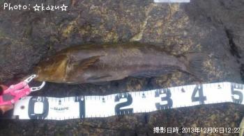 �����ʥ�