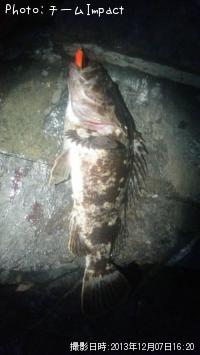 ¥¿¥±¥Î¥³¥á¥Ð¥ë