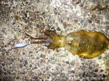 �����ꥤ��