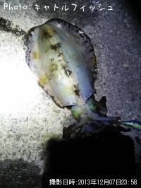 �����ꥤ��