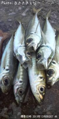 ���������Ƶ�����