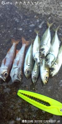 ���������Ƶ�����