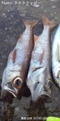 ���������Ƶ�����