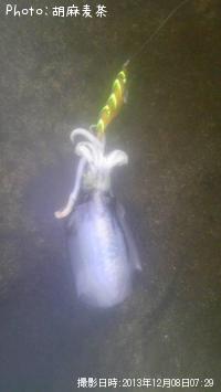 �����ꥤ��