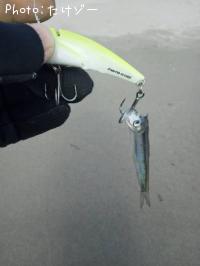 �����������亮