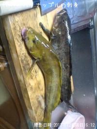 �����ʥ�