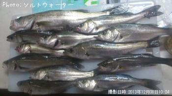 �����Х�