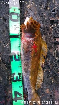 �����ʥ�