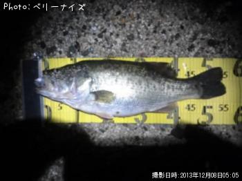 �֥�å��Х�