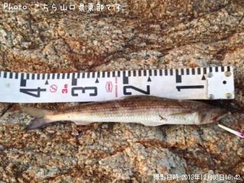 ¥¢¥ª¥ê¥¤¥«