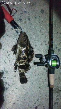 �����Υ���Х�