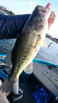 �֥�å��Х�