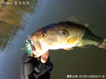 �顼���ޥ����Х�