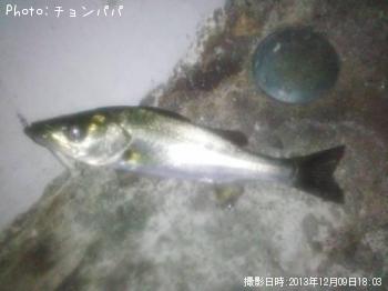 �����Х��ʥ����Х���