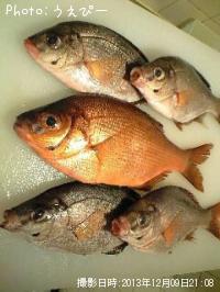 �������ʥ�