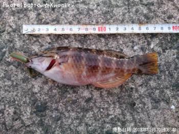 ¥¢¥«¥µ¥µ¥Î¥Ï¥Ù¥é