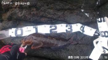 �����ʥ�