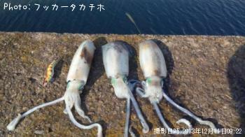 ¥¢¥ª¥ê¥¤¥«