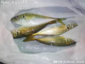 ¥¢¥¸