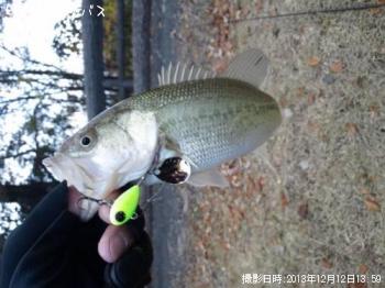 �֥�å��Х�