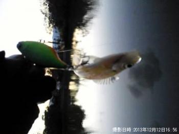 ¥Ö¥ë¡¼¥®¥ë