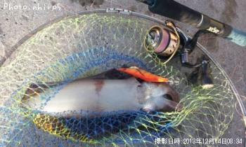 �����ꥤ��