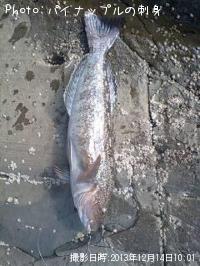 �����ʥ�