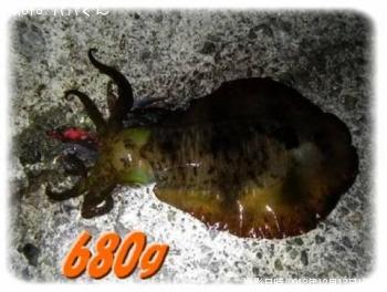 �����ꥤ��