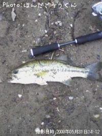 ¥Ö¥é¥Ã¥¯¥Ð¥¹