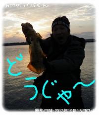 ¥¢¥ª¥ê¥¤¥«