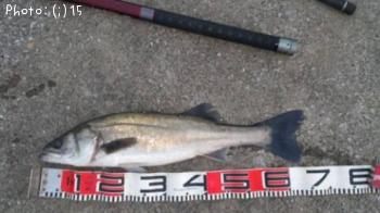 �����Ф�