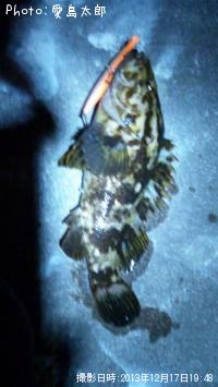 �٥å�������