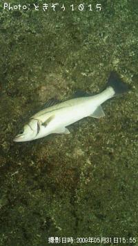 �����Х�