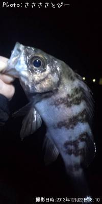 ¤ªµ×¥á¥Ð¥ë