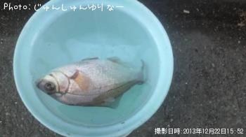 ¥¦¥ß¥¿¥Ê¥´