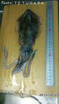 ¥¢¥ª¥ê¥¤¥«