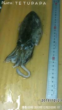 ���ߥ���