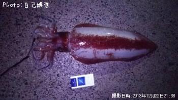 ���ǥ���