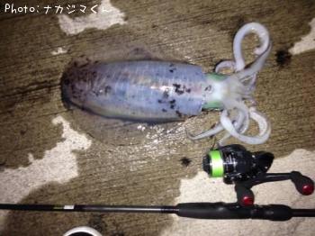 ¥¢¥ª¥ê¥¤¥«