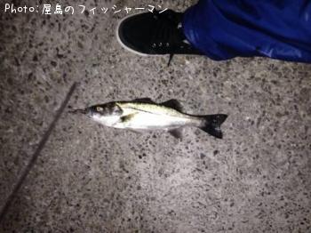 �����Х�