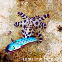 ¥Ò¥ç¥¦¥â¥ó¥À¥³