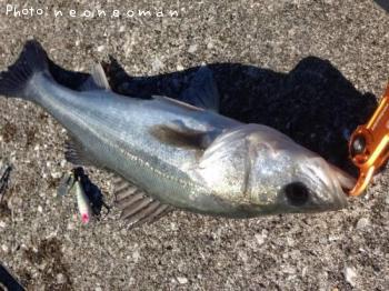 �����Х�