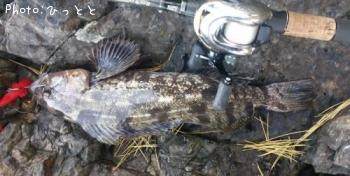 �����ʥ�