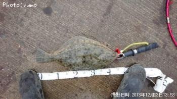 �������쥤