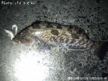 �����ʥ�