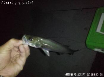 ¥·¡¼¥Ð¥¹¡¡¥ß¥Ë